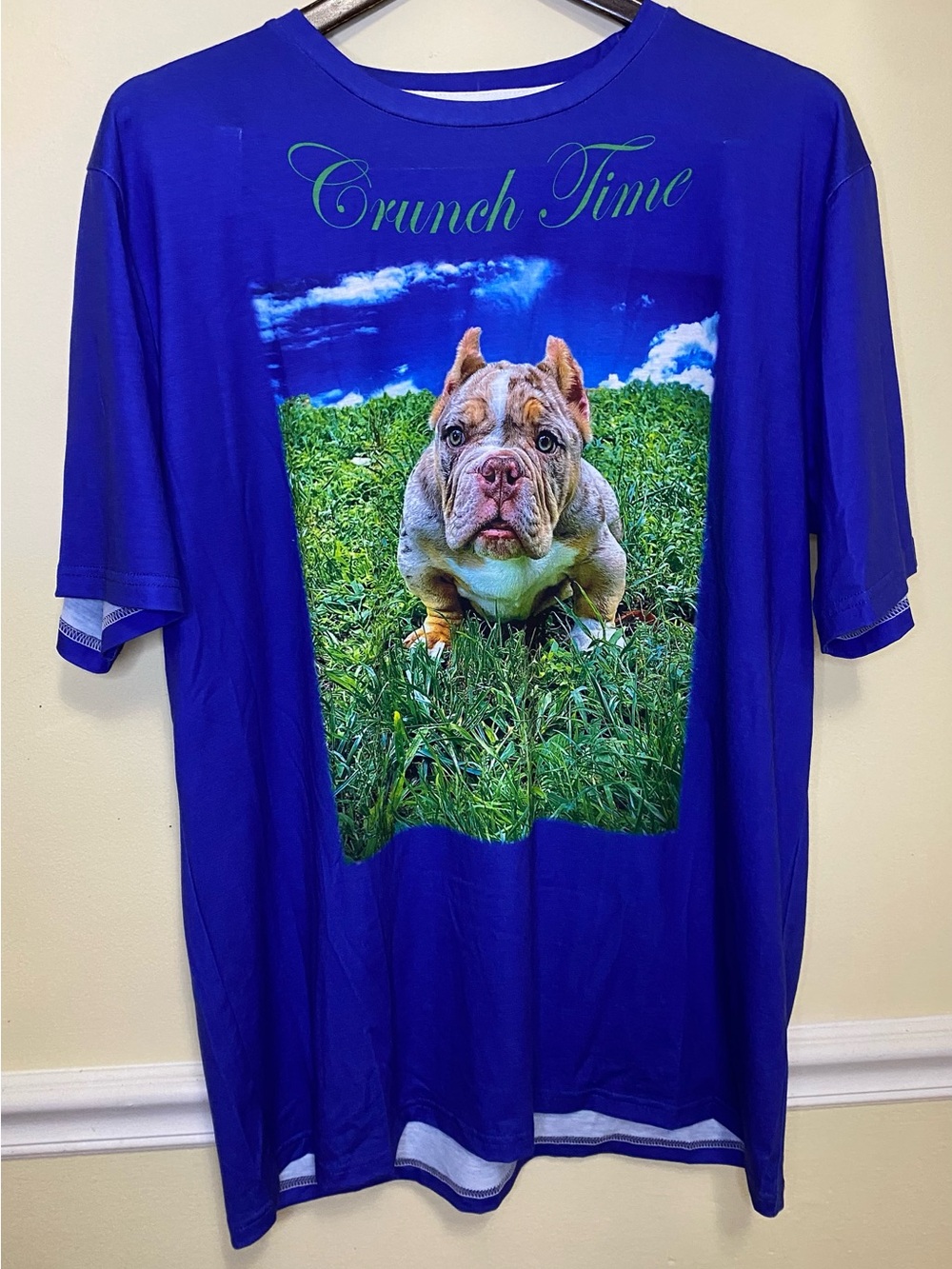 Crunch Time Blue Graphic Tee with Bulldog Print